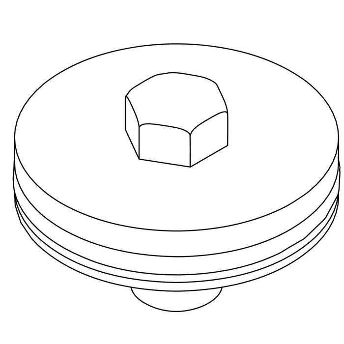 KOHLER Assembly, Plug, Test