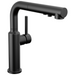 Delta Daneri 16879 Single Handle Pull-Out Kitchen Faucet