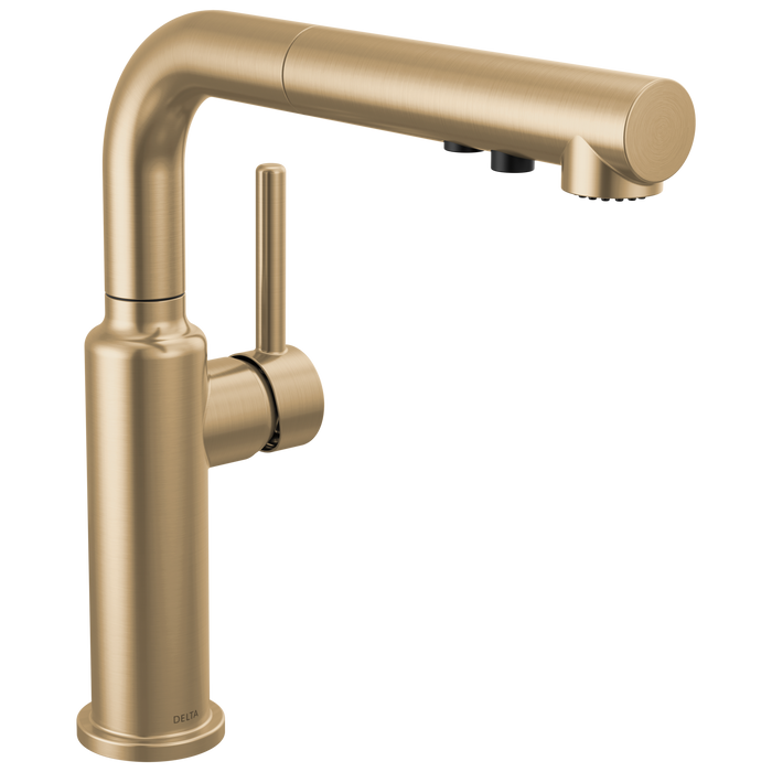 Delta Daneri 16879 Single Handle Pull-Out Kitchen Faucet