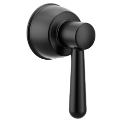 Moen Handle Kit