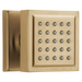 Delta Other: Surface Mount Body Spray