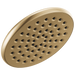 Delta Universal Showering Components 52433 Single-Setting Raincan Shower Head - Champagne Bronze