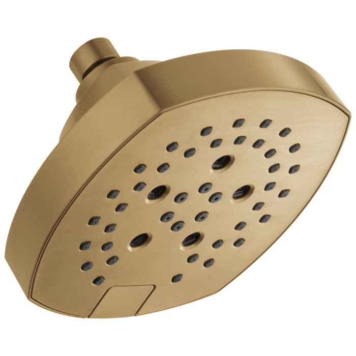 Delta Universal Showering Components 52663 H2OKINETIC 5-Setting Shower Head