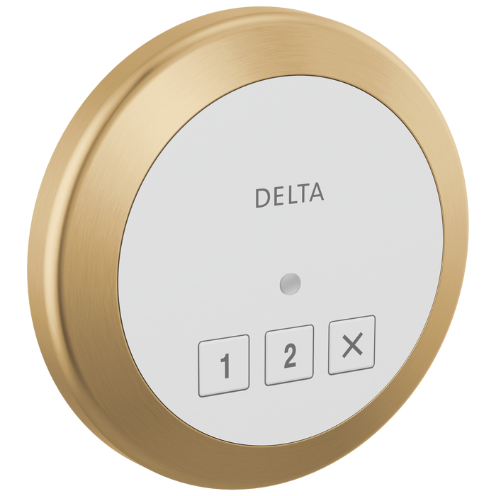 Delta Universal Showering Components 5CN Round Exterior Steam Control