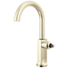 Brizo Kintsu 61006LF Bar Faucet with Arc Spout - Less Handle