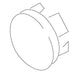 KOHLER Plug, Suction Cover
