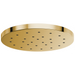 Brizo Essential Shower 81987 14” Linear Round H2OKINETIC Single-Function Raincan Shower Head - Polished Gold