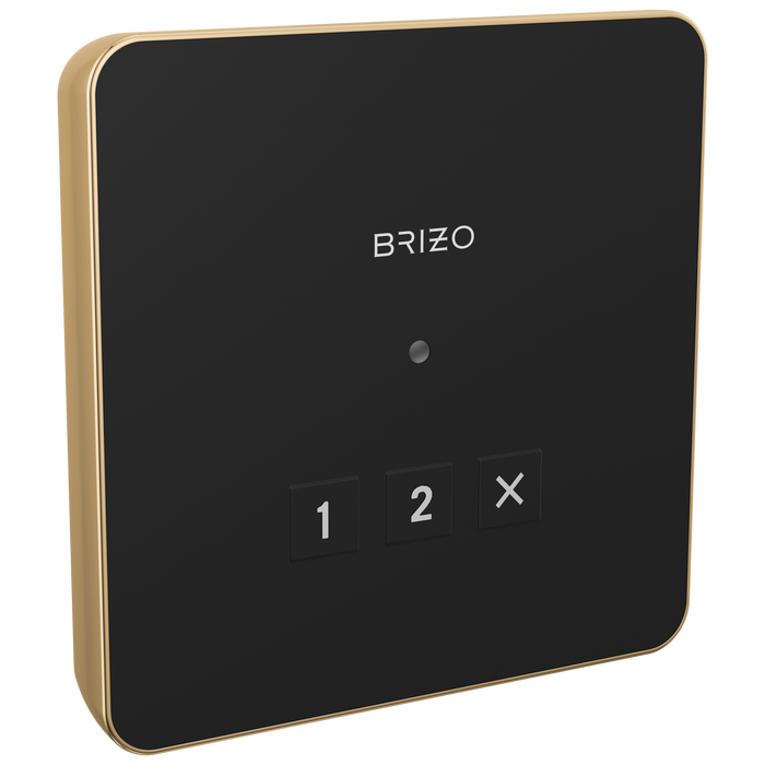 Brizo 8CN Elemental Square Exterior Control
