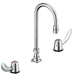 Commercial 23C6 23C632 Two Handle Widespread Lavatory Faucet with Gooseneck Spout - Less Pop-Up