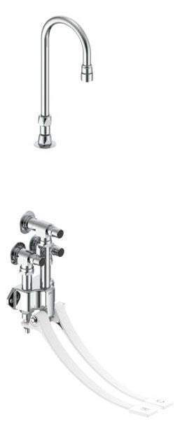 Delta Commercial 54T5:54T5332A Wall Mount Double-Pedal Surgeon's Scrub-up