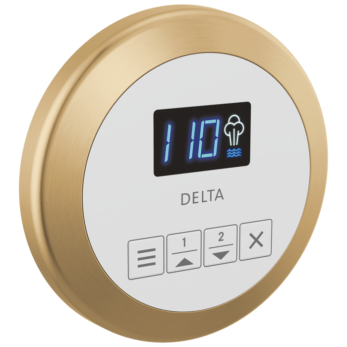 Delta Universal Showering Components EP103307BL Round Steam Control