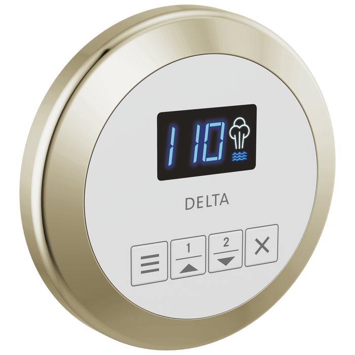Delta Universal Showering Components EP103307BL Round Steam Control