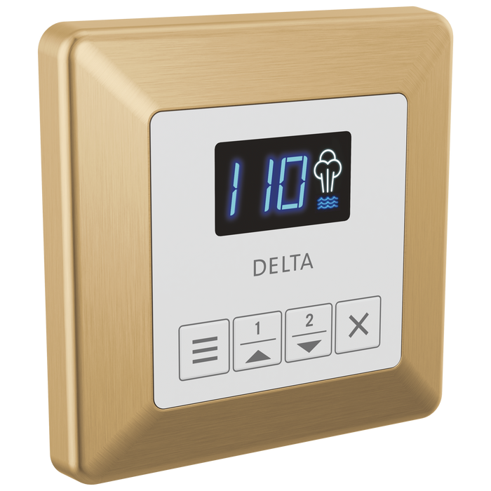 Delta Universal Showering Components EP103309BL Square Steam Control