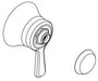 Moen 201214 Volume Handle Kit Bg