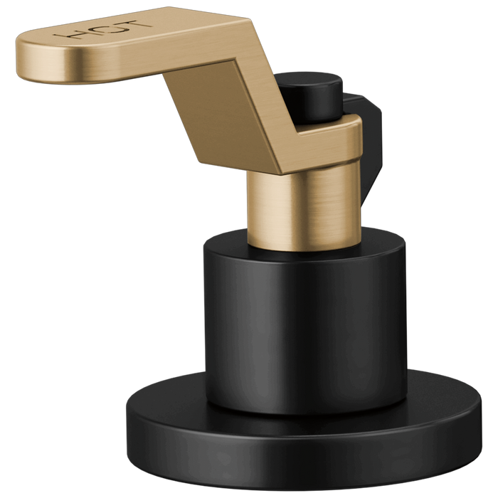 Widespread Handle Kit - Industrial Lever