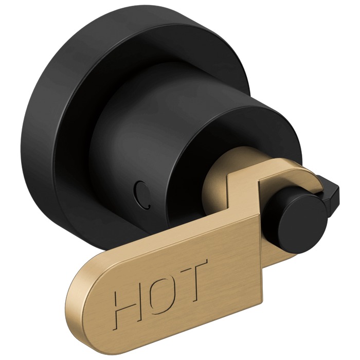 Two-Handle Wall Mount Tub Filler Handle Kit - Industrial Lever