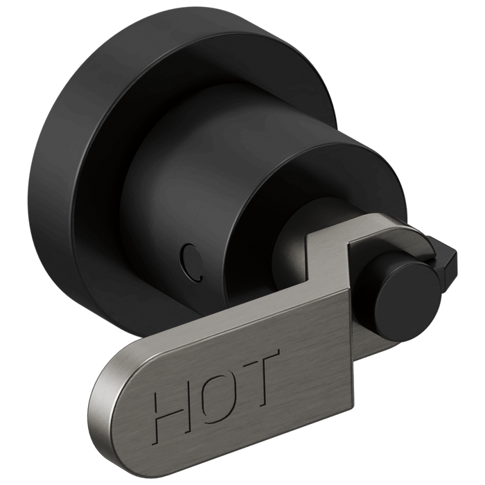 Two-Handle Wall Mount Tub Filler Handle Kit - Industrial Lever