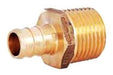 1/2" Brass PEX Crimp x MPT Adapter