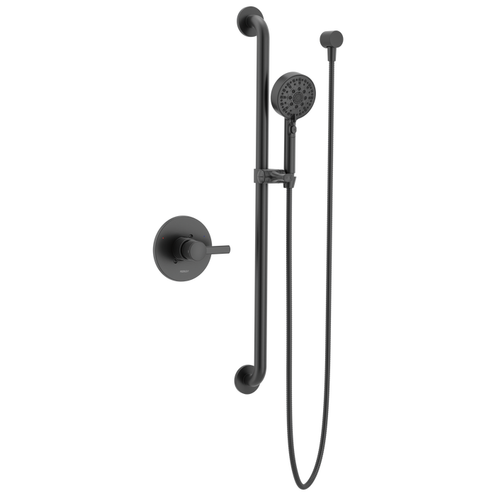Peerless Precept PTT24347 ADA Valve Only with Hand Shower