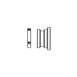 Brizo Invari RP101194PC FSTF Cap & Friction Ring