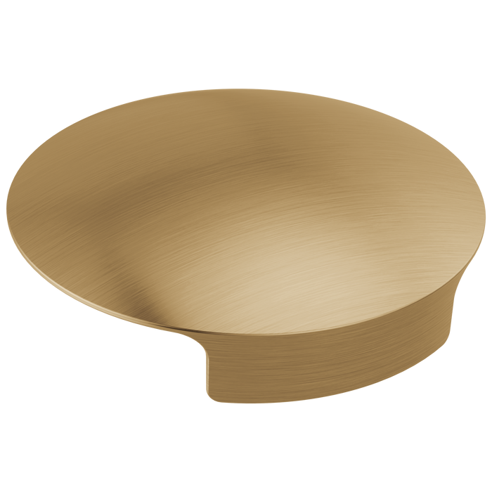 Delta RP101289 Glass Rinser Cover