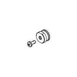 Delta Trillian RP101449 Adaptor and Screw