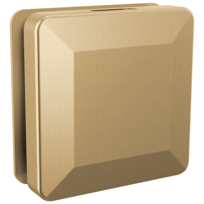 Delta Universal Showering Components RP103306BL Square Steam Head