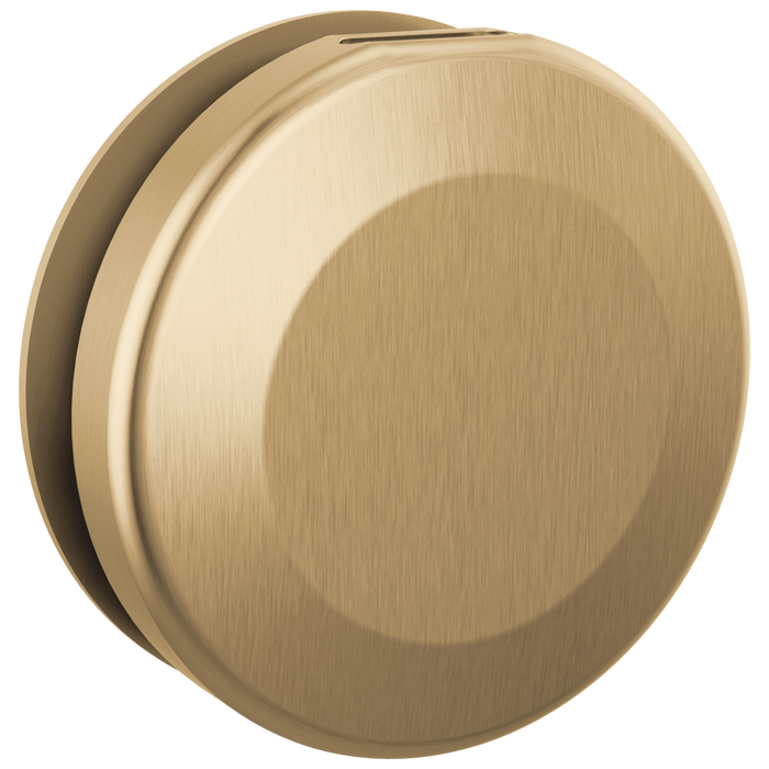 Delta Universal Showering Components RP103308BL Round Steam Head