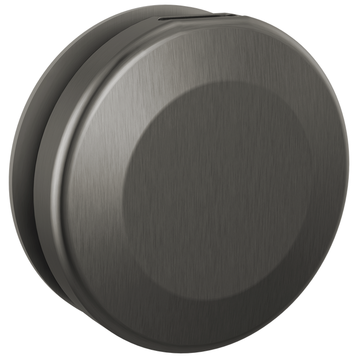 Delta Universal Showering Components RP103308BL Round Steam Head