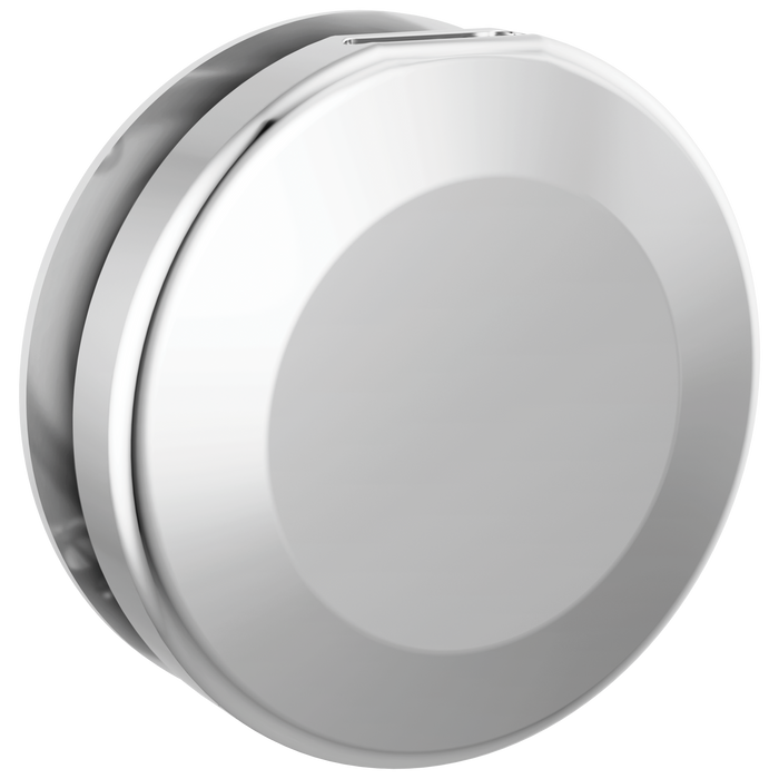 Delta Universal Showering Components RP103308BL Round Steam Head