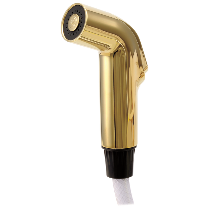 Delta RP39345PB Side Spray & Hose Assembly - Polished Brass