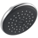 Delta RP51305 Single-Setting Raincan Shower Head
