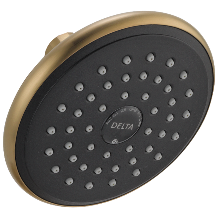Delta Delta Universal Showering Components: Single-Setting Raincan Shower Head