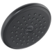 Delta RP51305 Single-Setting Raincan Shower Head