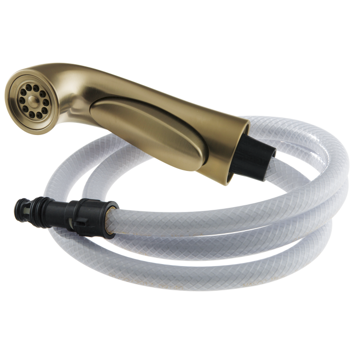 Delta Pilar RP53880 Side Spray & Hose Assembly