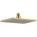 Delta RP62955 Single-Setting Raincan Shower Head