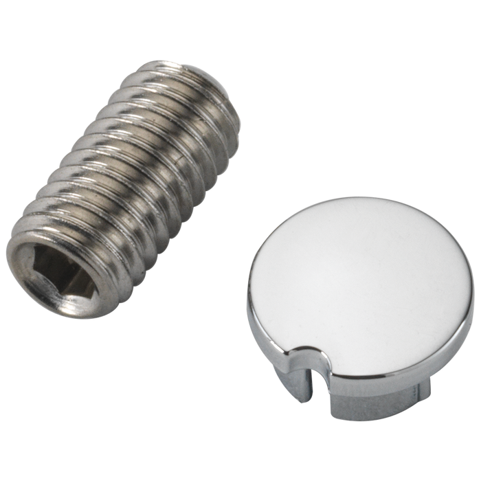 Delta Cassidy RP84938 Set Screw & Button - T24 Series