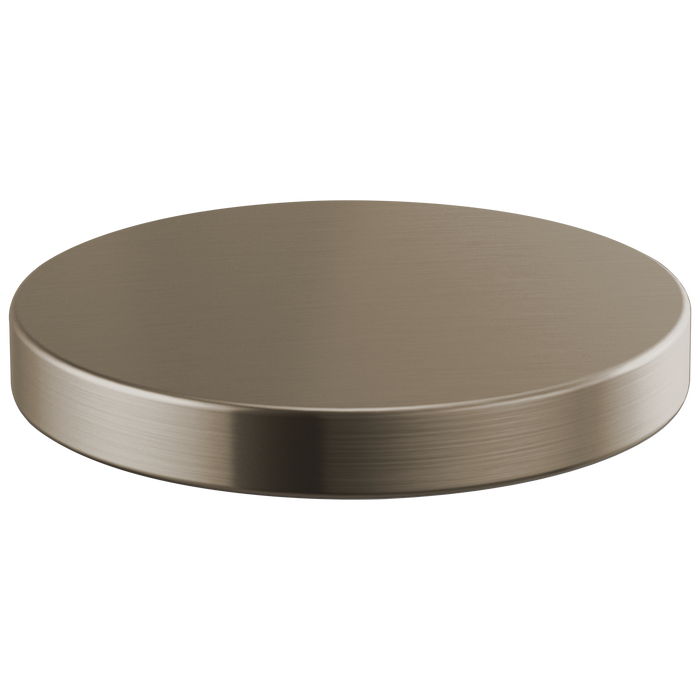 Brizo Litze:RP90934SS Hole Cover