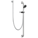 Commercial HDF RPW336HDF Single Function Hand Shower with Grab Bar and Elbow