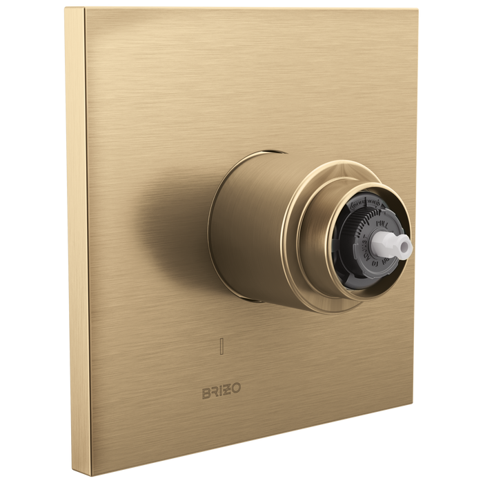 Brizo Frank Lloyd Wright T60P022 Pressure Balance Valve Only Trim - Less Handle