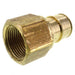 1/2" Brass ProPEX Expansion x FPT Adapter