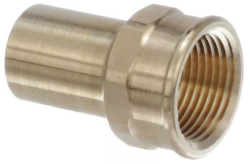 Delta Linden: Double Robe Hook