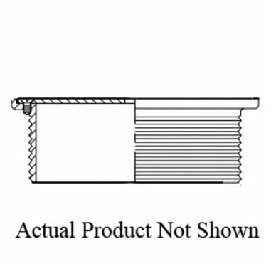 Zurn ZN400-6B Adjustable Type B Round Strainer, 4 in Nominal, Bronze