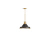 KOHLER K-32290-PE03 Hauksbee 18" pendant