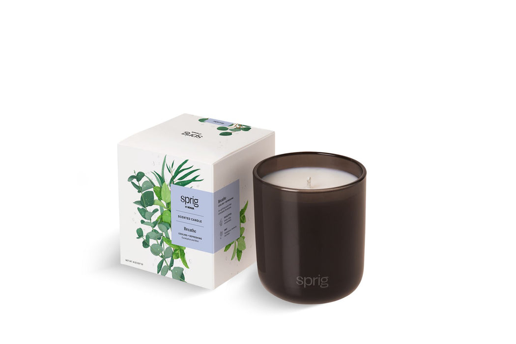 KOHLER Shield Shield Scented Candle (Tea Tree + Rosemary)