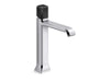 Kallista P33164-NM Bezel Single Control, Tall, Nm Stone
