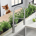 Pvd Steel - BLANCO Catris Semi-Pro Pull-Down Dual-Spray Kitchen Faucet