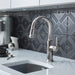 Chrome - BLANCO Empressa Pull-Down Bar Faucet