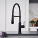 Matte Black - BLANCO Empressa Semi-Pro Pull-Down Dual-Spray Kitchen Faucet