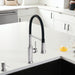 Pvd Steel - BLANCO Empressa Semi-Pro Pull-Down Dual-Spray Kitchen Faucet